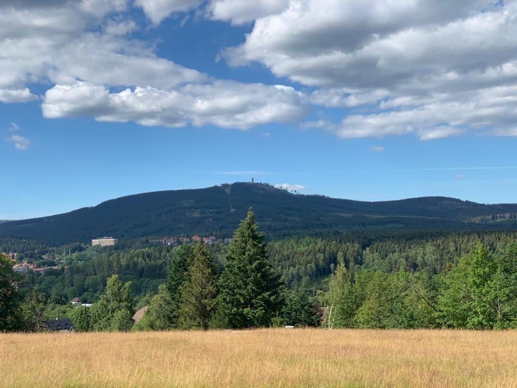 Fuehl Dich Wohl Apartment Braunlage Luaran gambar